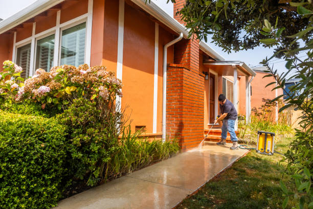 Best Concrete Pressure Washing  in Lo, HI